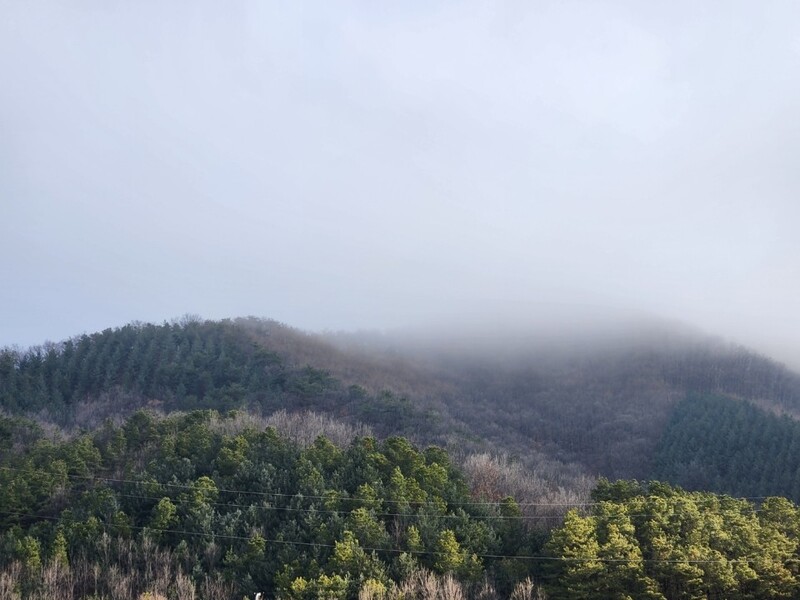 산등성이에 걸려있는 아침 안개