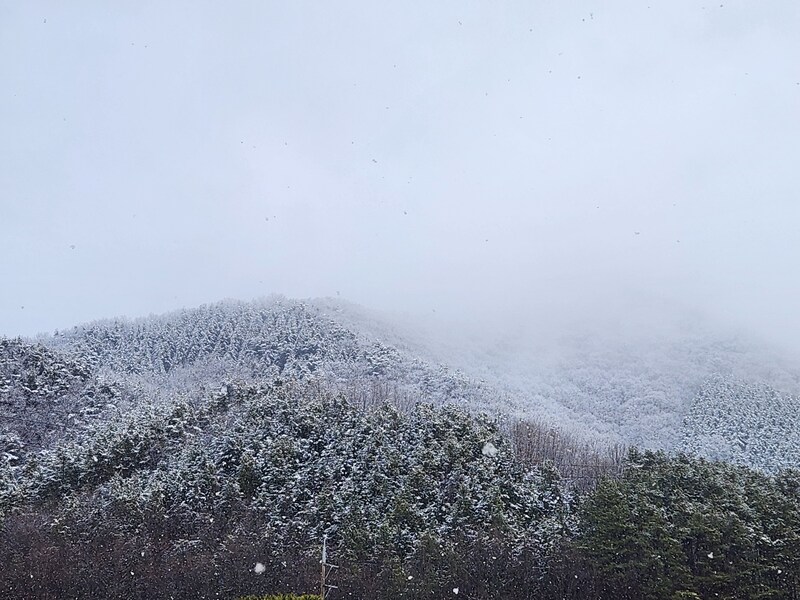 함박눈이 내리던 날
