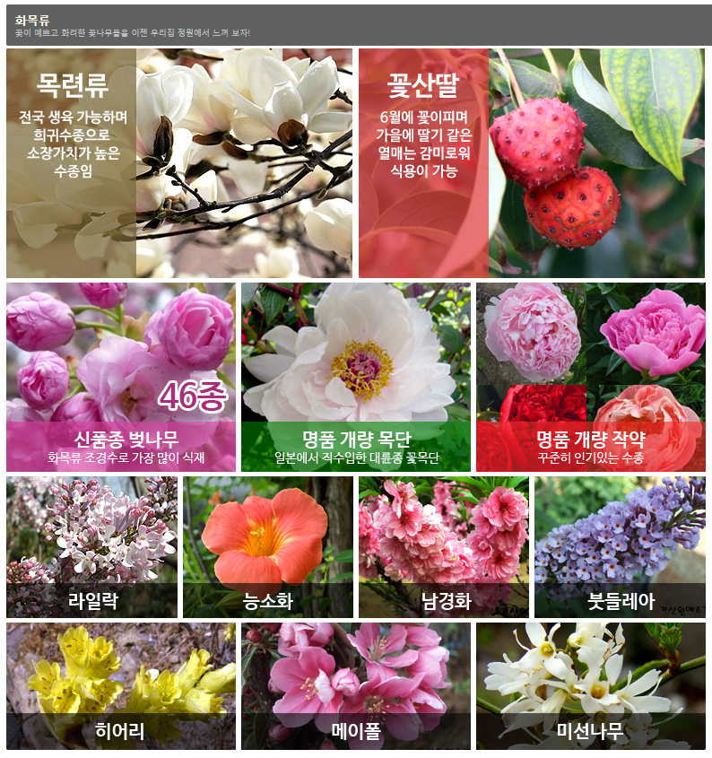 가산원예조경 (서초구 내곡동) "믿고 찾는 고품질 종묘원예 기업"