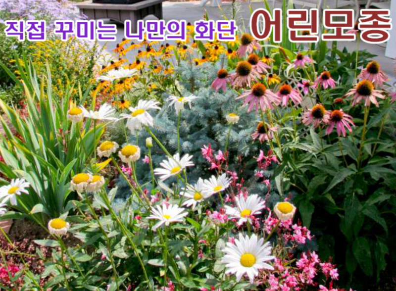 꽃씨몰 "직접 꾸미는 나만의 화단" 꽃씨 종자 종묘 다년초 어린 모종