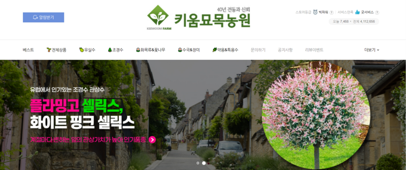 나무키움묘목농원 (충북 옥천) 40년 전통 2대째 최대묘목특구내 과일나무 꽃나무 관상수 조경수 농업회사법인