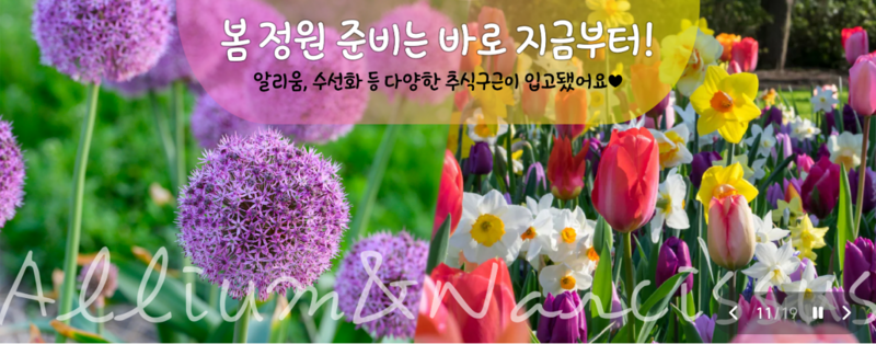 대림원예종묘 (내곡동) 정원을 특별하게 가꾸고 싶으신가요?