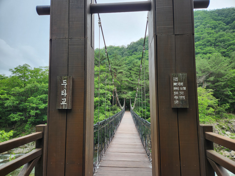 두타연 방문기 #3 두타교 출렁다리를 건너가 볼까요~