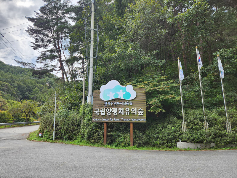 국립양평 치유의 숲