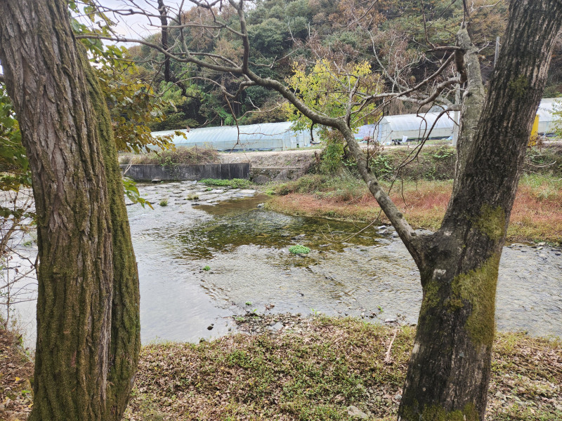 가을 시냇가 풍경