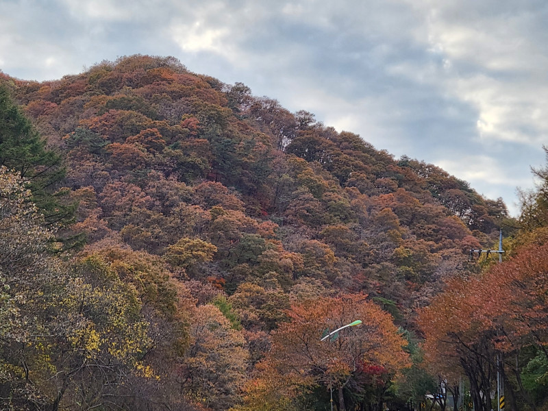 산도 울긋불긋..