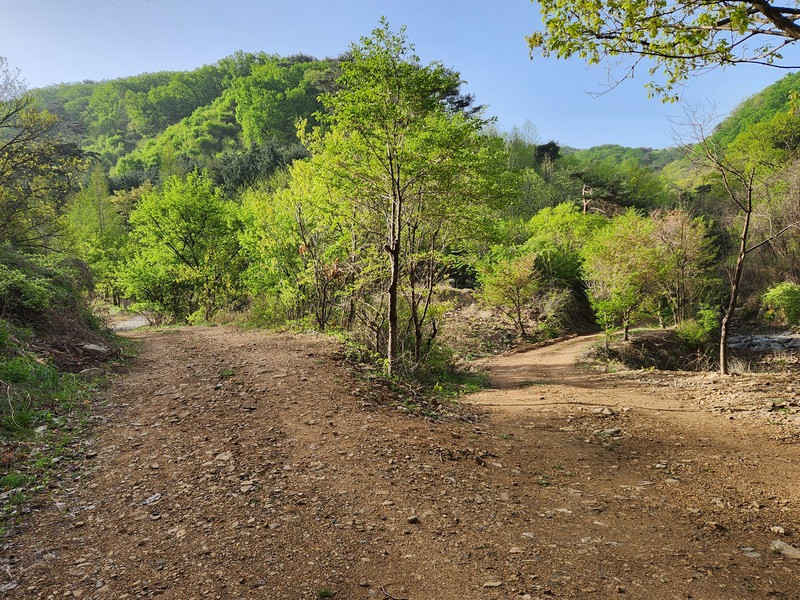 산책에서 만나는 삼거리길