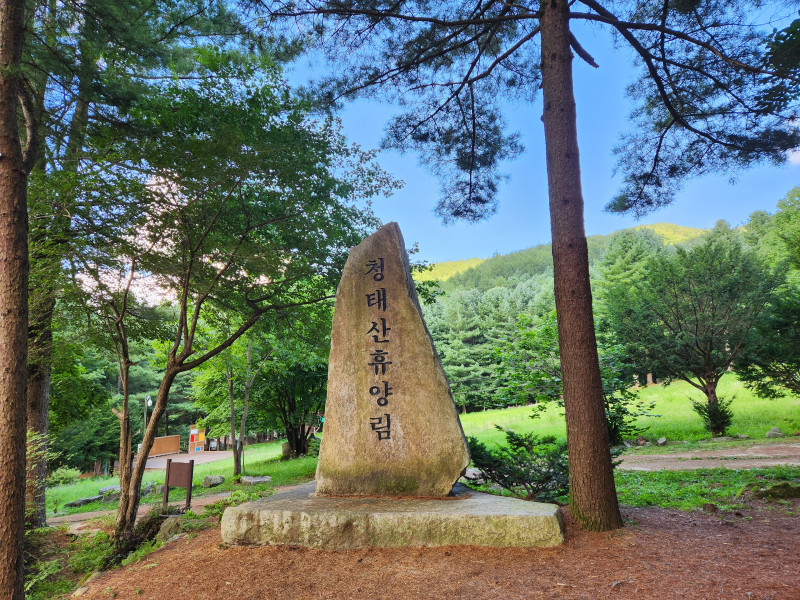 국립 청태산 자연휴양림에서의 여유로운 하루