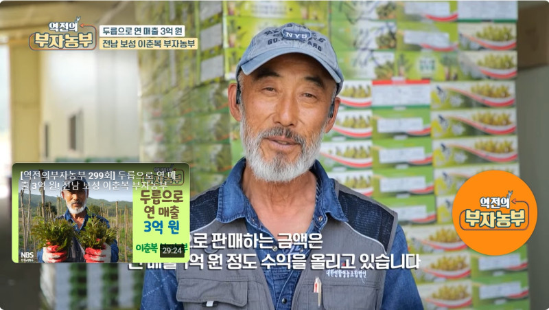 두릅으로 연매출 3억원 - NBS 역전의 부자농부 (전남 보성)
