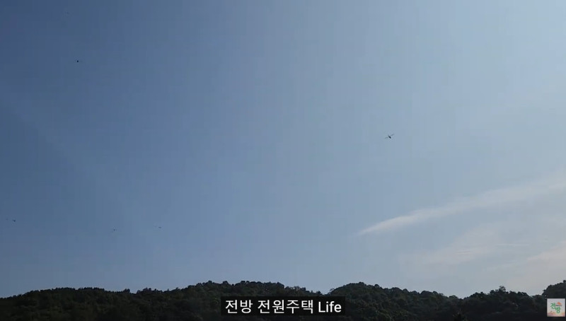 가을 하늘의 잠자리
