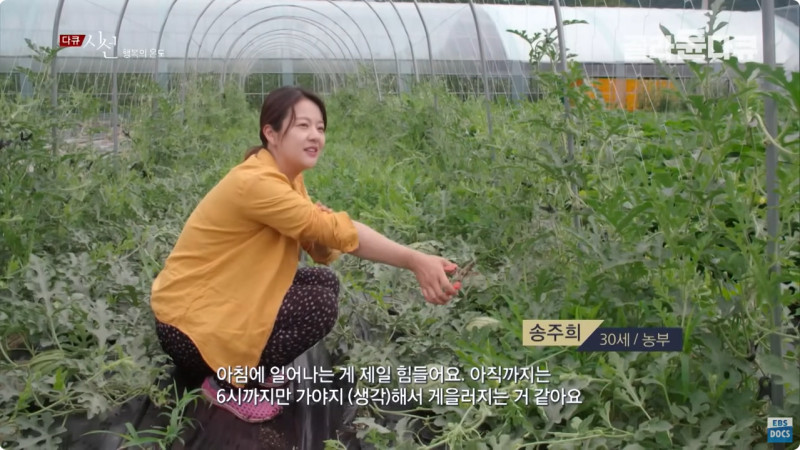 공무원 준비만 10년, 숨 막히는 도시 생활 견디기 힘들었다｜30살 되자마자 시골로 귀촌한 신혼부부의 인생｜다큐 시선
