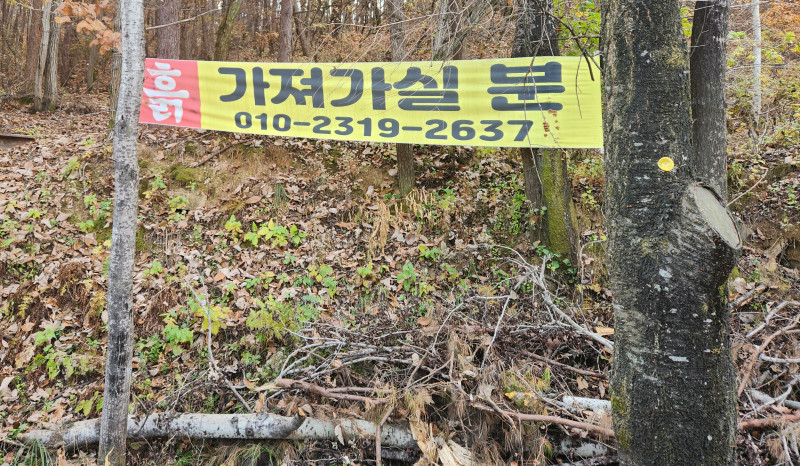 흙 가져가실 분 - 여주 금사면 금사리 남한강 강빛마을 부근