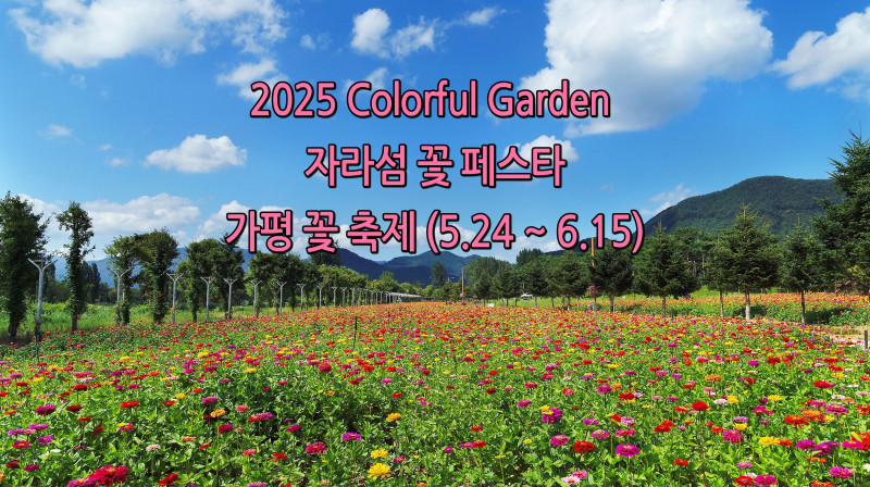 2025 Colorful Garden 자라섬 꽃 페스타 (5.24 ~ 6.15) "가평 자라섬 일대"