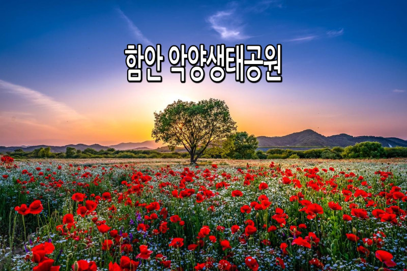 함안군 악양생태공원 '남강의 수려한 자연경관'
