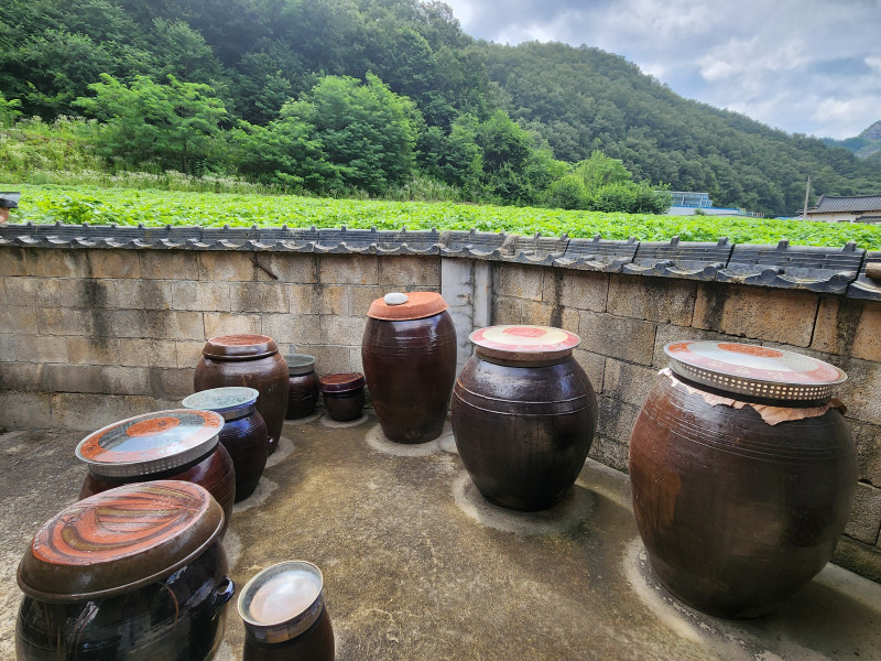 시골집 장독대