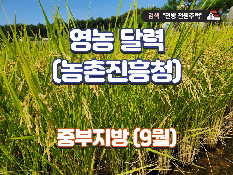 영농 달력 9월 (자료 : 농촌진흥청) - 중부지방