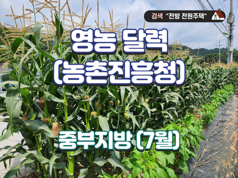 영농 달력 7월 (자료 : 농촌진흥청) - 중부지방