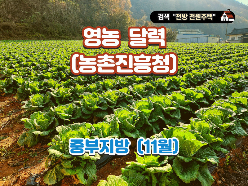 영농 달력 11월 (자료 : 농촌진흥청) - 중부지방