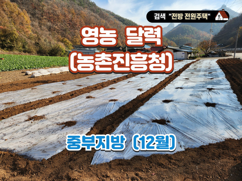 영농 달력 12월 (자료 : 농촌진흥청) - 중부지방