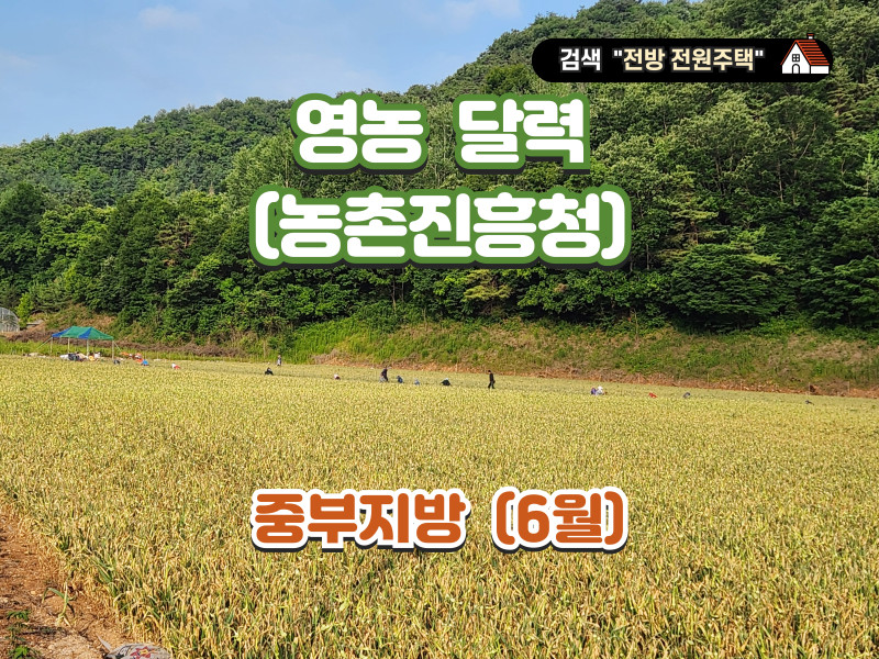 영농 달력 6월 (자료 : 농촌진흥청) - 중부지방