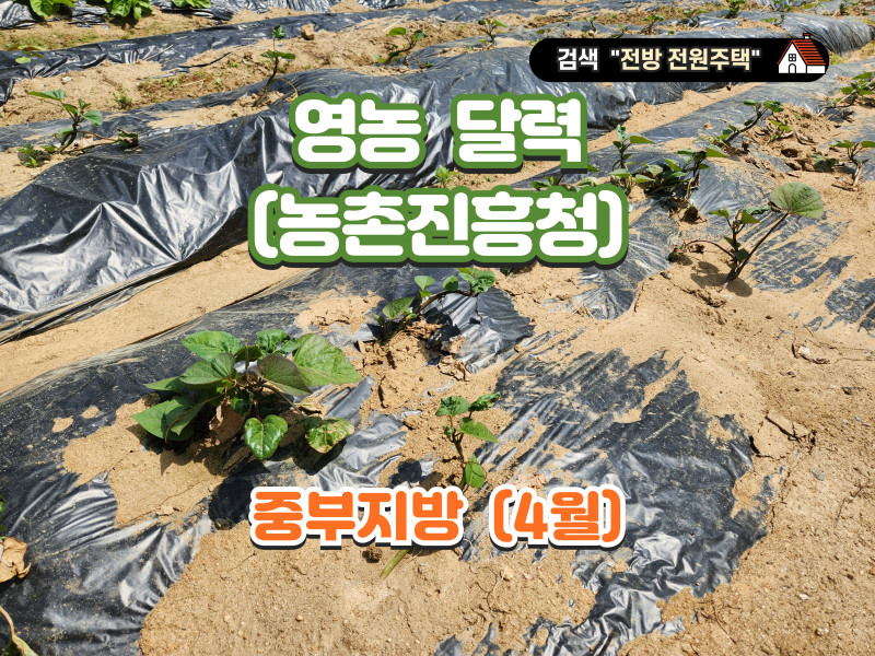 영농 달력 4월 (자료 : 농촌진흥청) - 중부지방