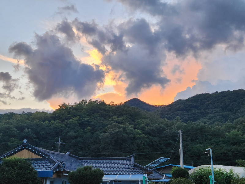 산이 불타고 있어요!!!