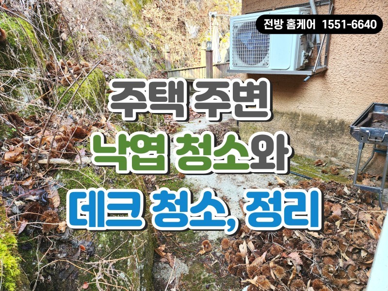 주택 주변 밤송이와 낙엽 청소 및 정리 작업