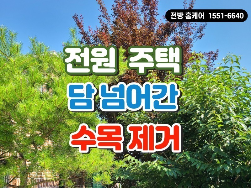 담넘어간 수목 제거와 잔디 예초 작업 (광주 퇴촌)