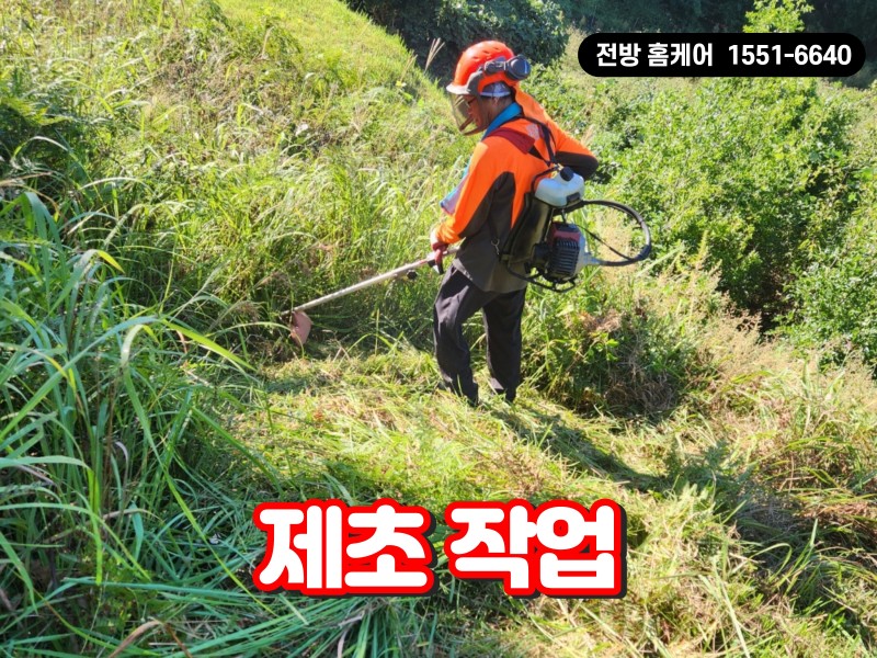 제초 작업 후기 (양평)