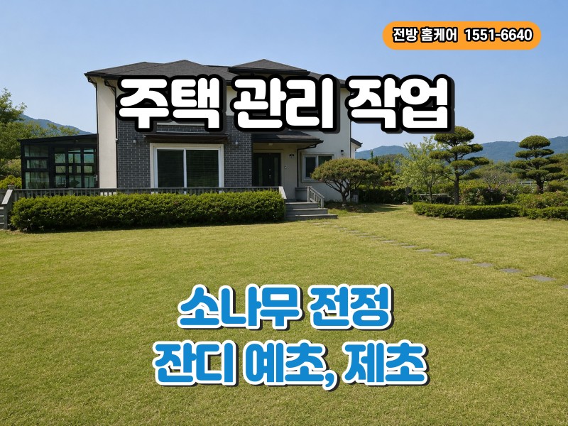 전원주택 소나무 전정 & 잔디 예초 작업
