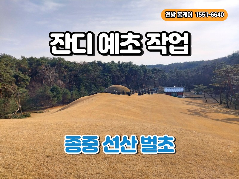 종중 선산 잔디 예초, 벌초 작업