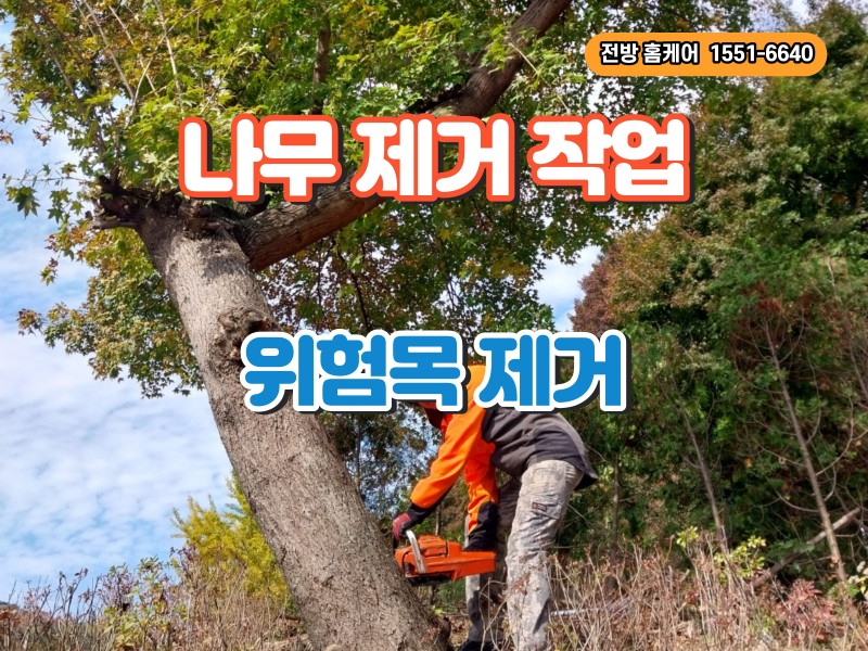 수목 (위험목) 제거 작업
