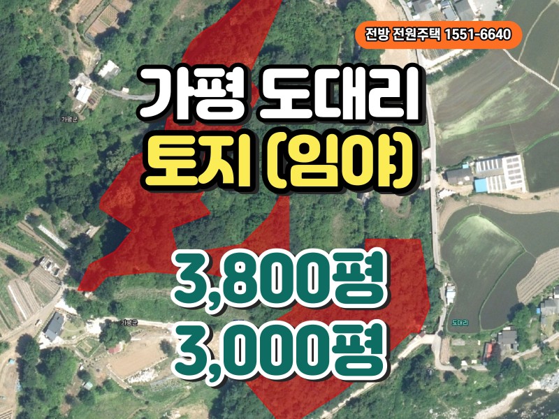 가평 북면 도대리 임야 매매 (3800평, 3000평) (매물 #25233)