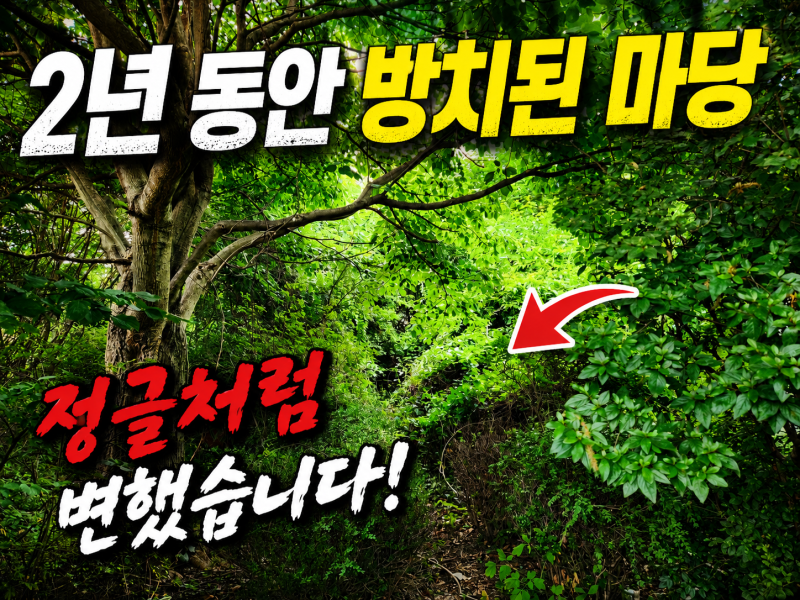 🌿 전원주택 마당 (정원) 가을 작업 예약, 정글이 된 마당